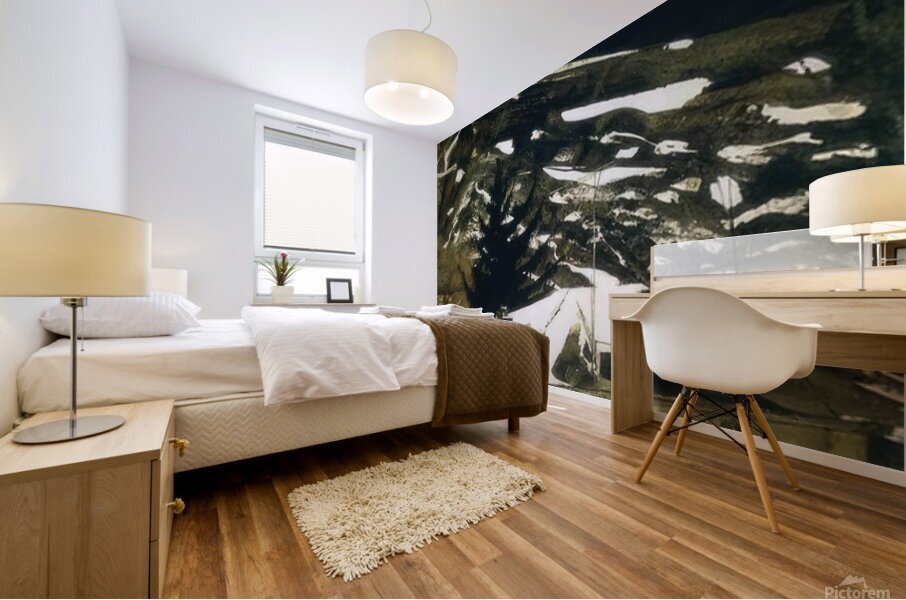 Wolf Moon   1975 - Andrew Wyeth Impression murale