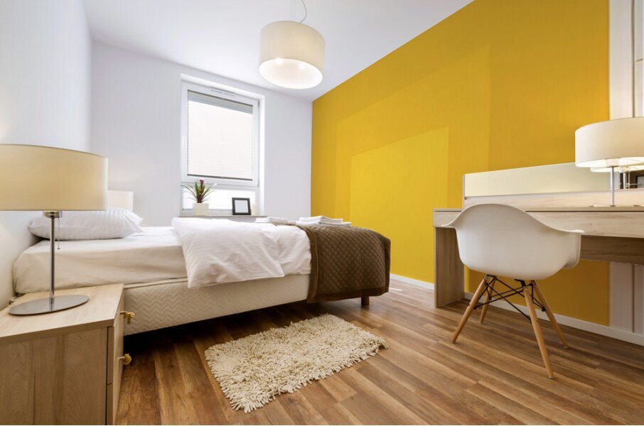 Josef Albers    3 Mural print