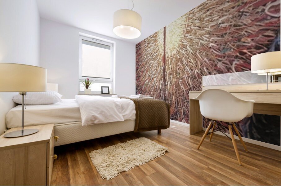 Artwork by Giacomo Balla  25 Mural print