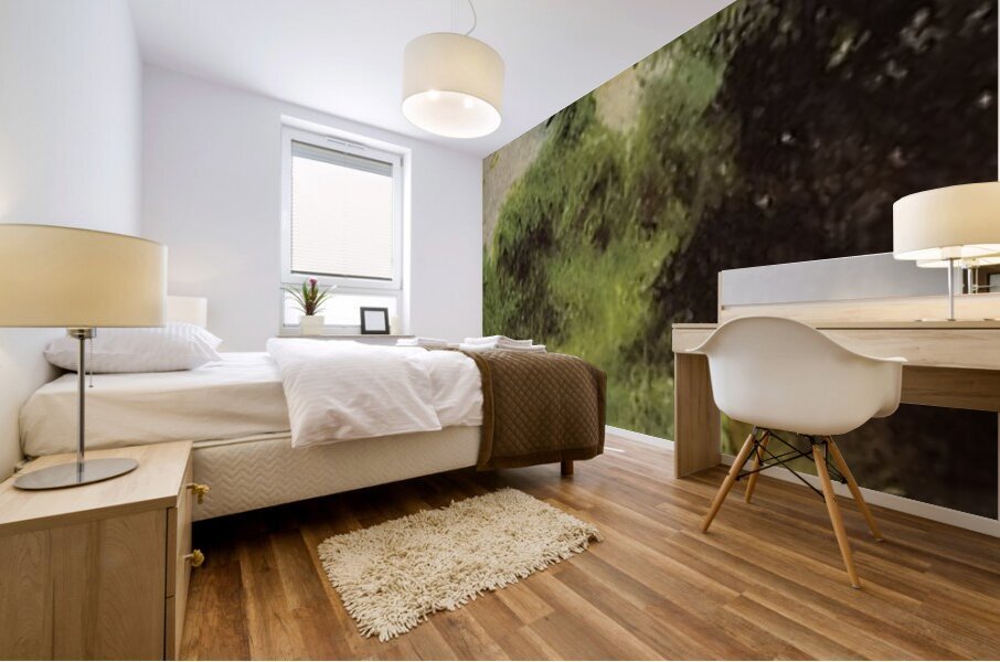 Art by Auguste Renoir 23 Mural print