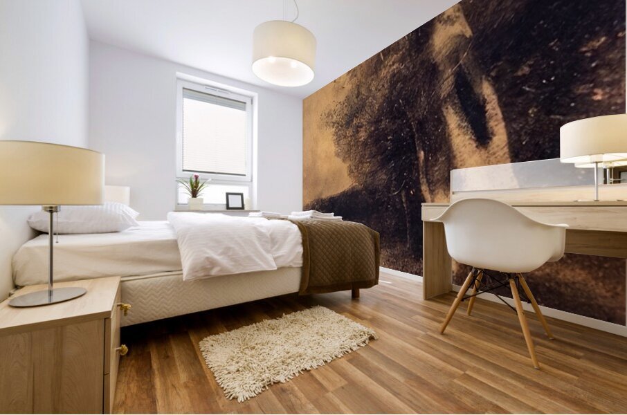 Odilon Redon 11 Mural print