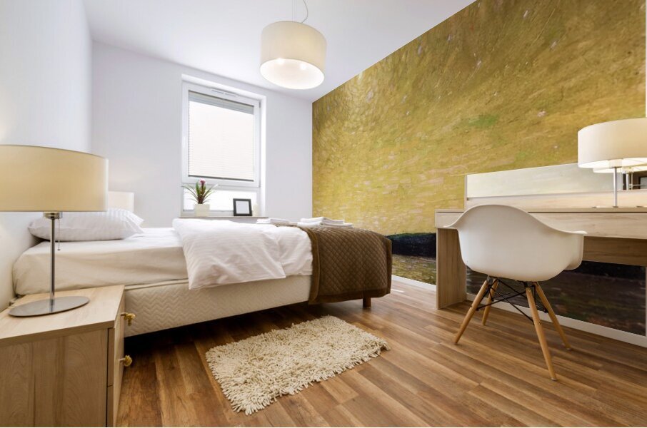 Tom Thomson 19 Mural print