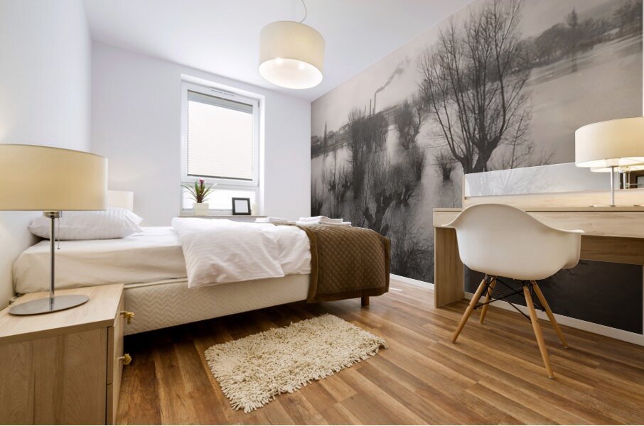 Félix Thiollier 18 Mural print