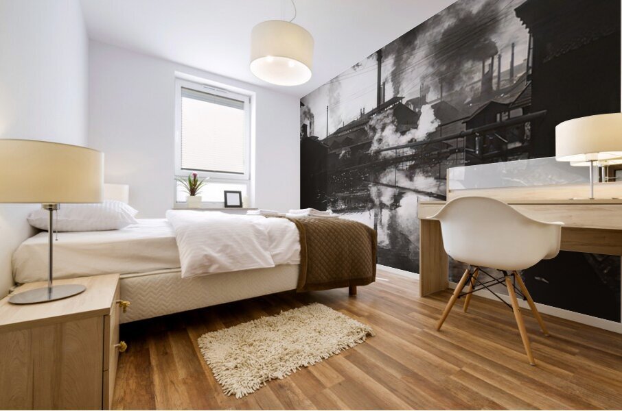 Félix Thiollier 20 Mural print