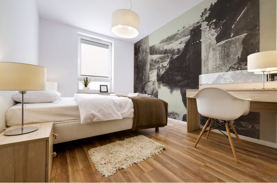 Félix Thiollier 41 Mural print