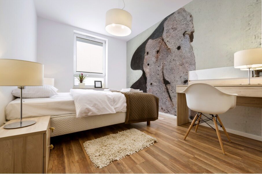 Salvador Dalí 44 Mural print