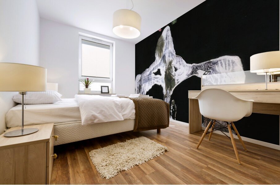 Salvador Dalí 32 Mural print