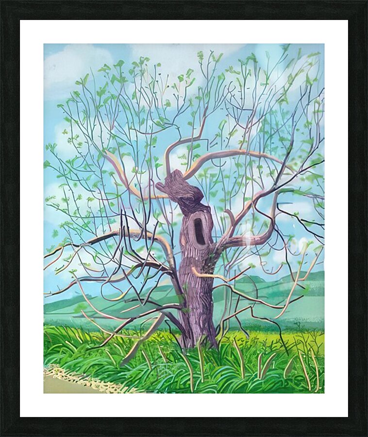 David Hockney 1 Picture Frame print