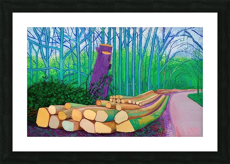 David Hockney  Picture Frame print