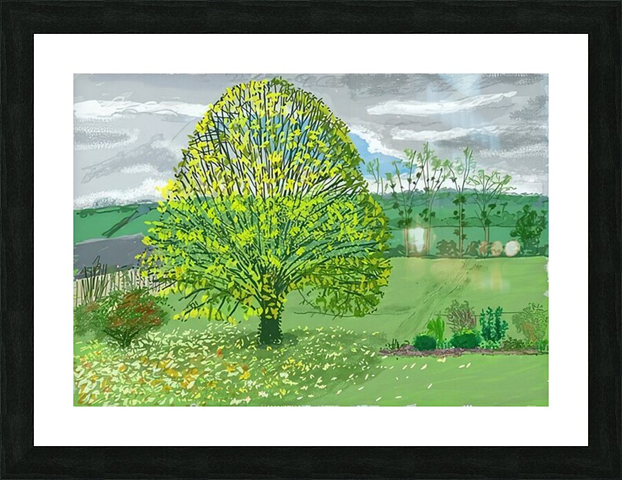 David Hockney 30 Picture Frame print