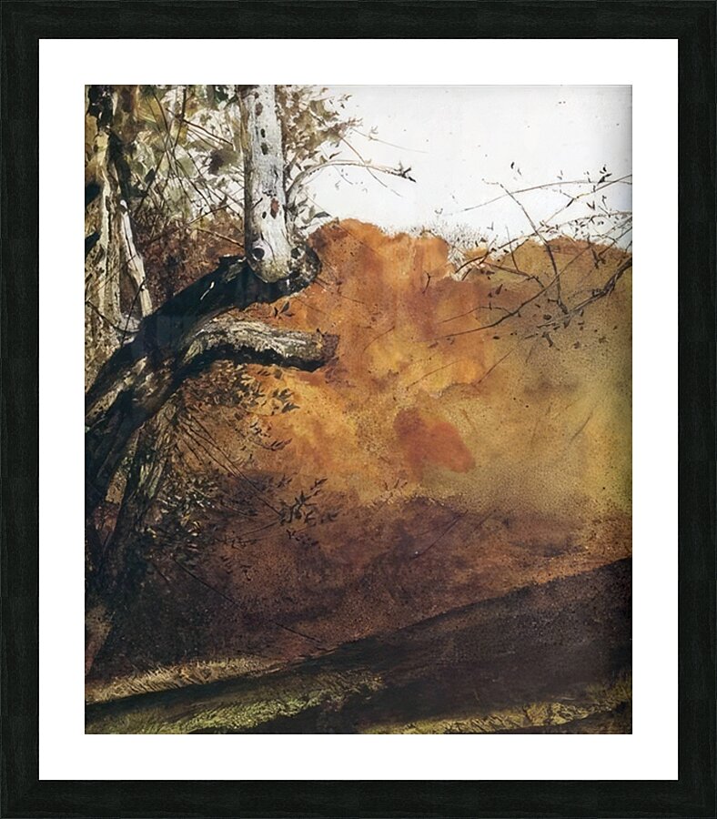Autumn   Contemporary Realism - Andrew Wyeth Picture Frame print