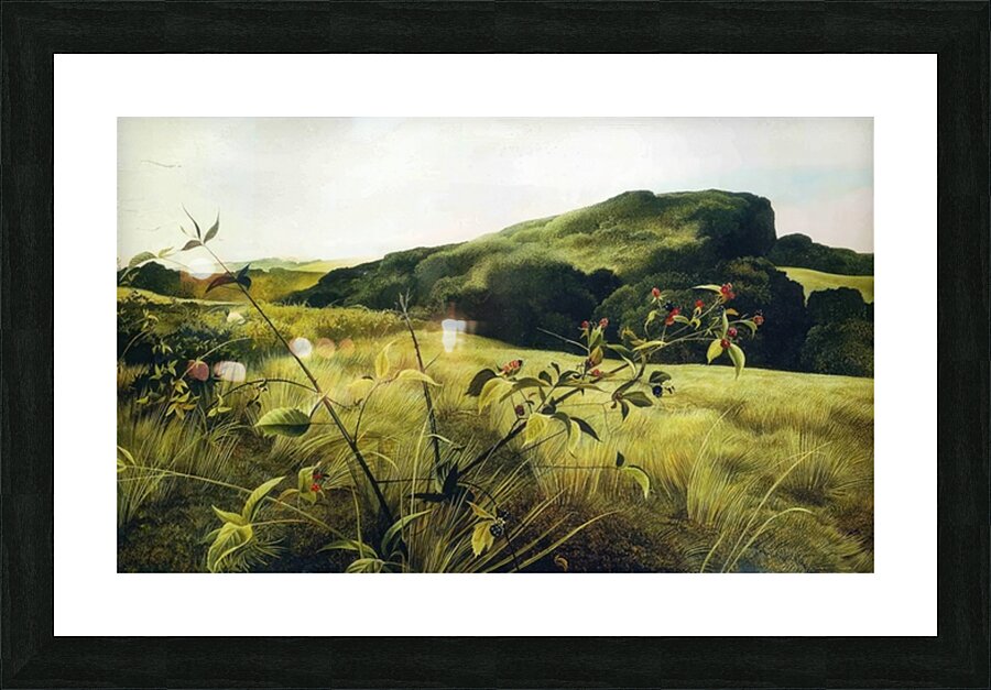 Blackberry Picker   Contemporary Realism - Andrew Wyeth Picture Frame print