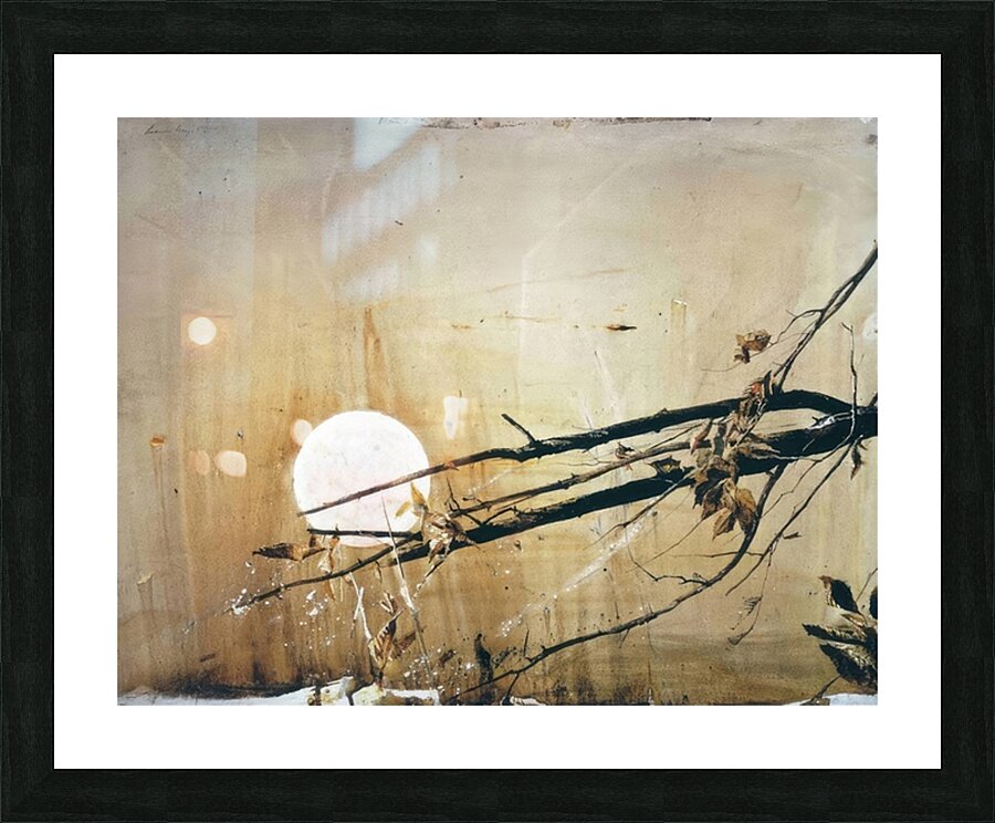 Full Moon   1980 _ Andrew Wyeth Picture Frame print