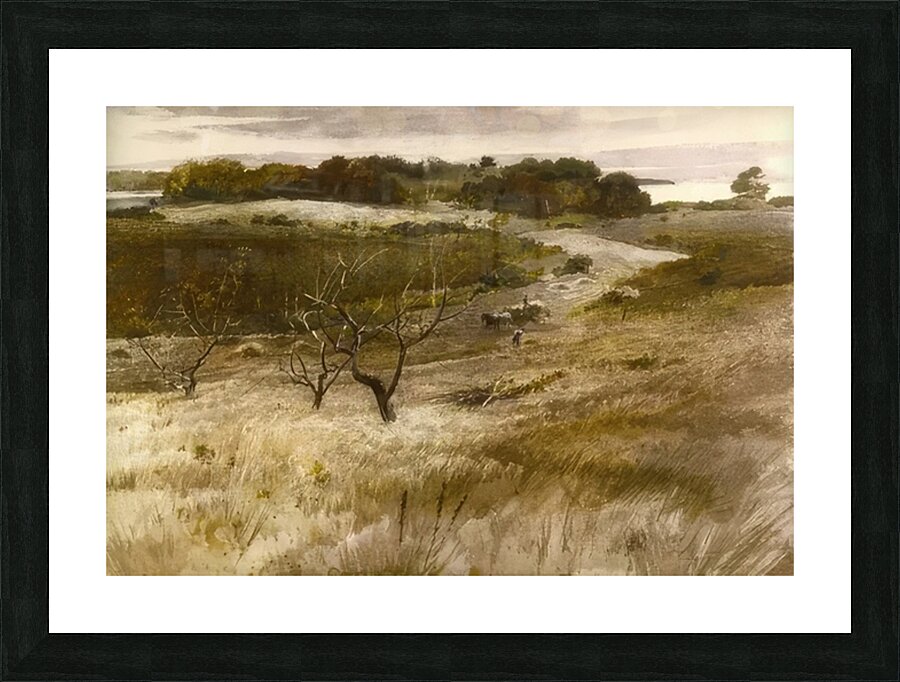 Andrew Wyeth Picture Frame print