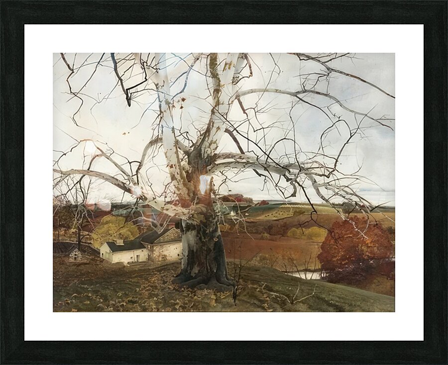 Andrew Wyeth Picture Frame print