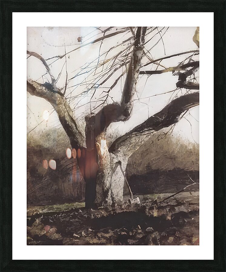 Andrew Wyeth Picture Frame print