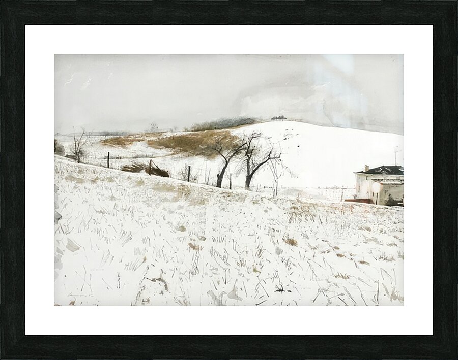 Andrew Wyeth Impression et Cadre photo