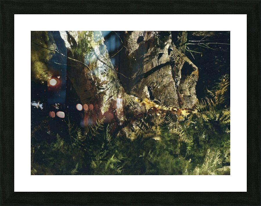 Walking Stick   Contemporary Realism - Andrew Wyeth Picture Frame print