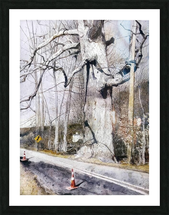Walking Stick   Contemporary Realism - Andrew Wyeth Picture Frame print