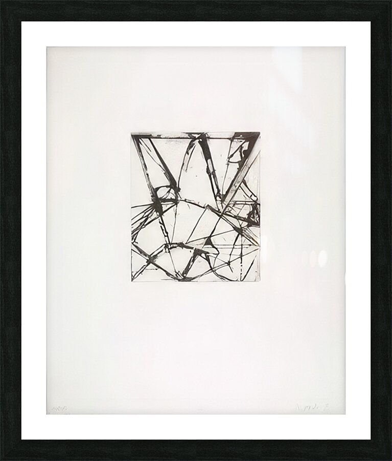Art by Brice Marden   Picture Frame print