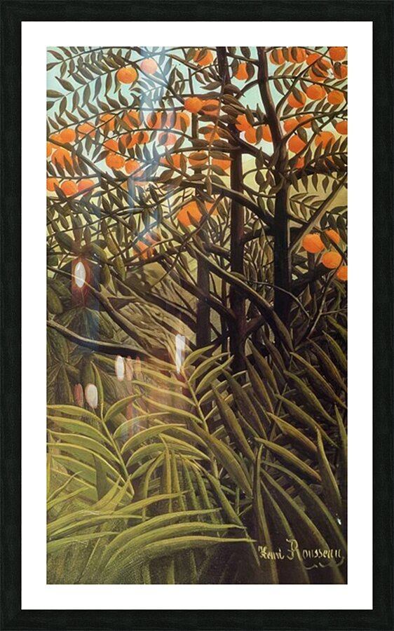 Henri Rousseau 48 Picture Frame print