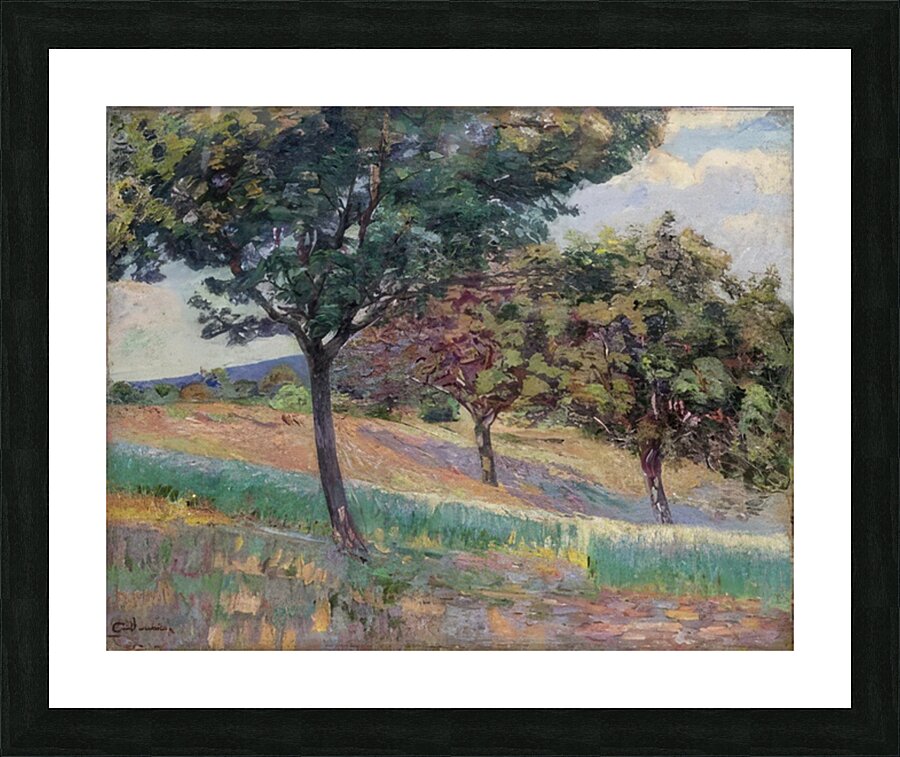 Armand Guillaumin 8 Picture Frame print