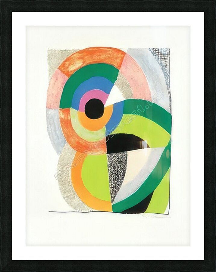 Sonia Delaunay 16 Picture Frame print