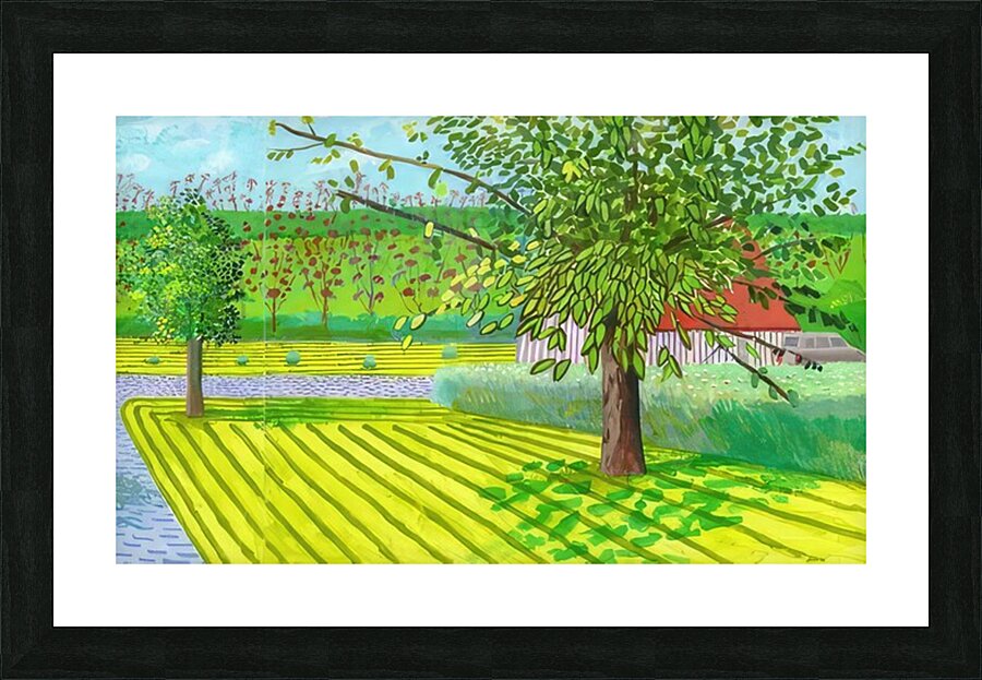 David Hockney 20 Picture Frame print