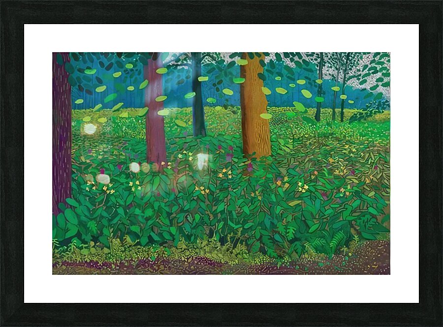 David Hockney 46 Picture Frame print