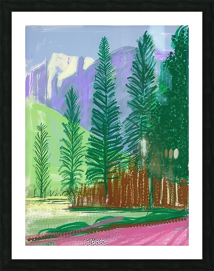 David Hockney 49 Picture Frame print