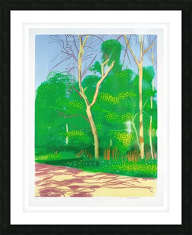 David Hockney 51 Picture Frame print