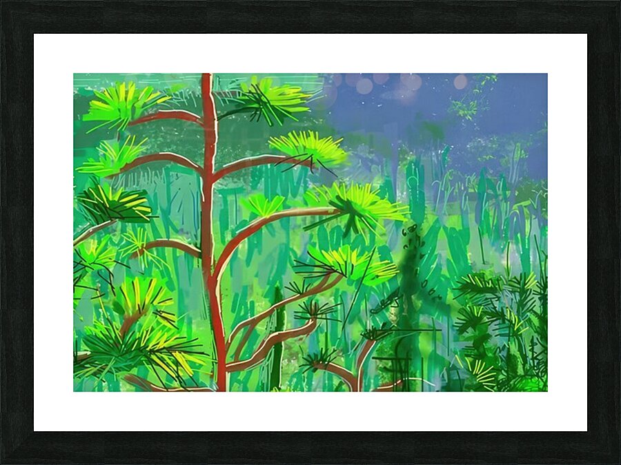David Hockney 57 Picture Frame print
