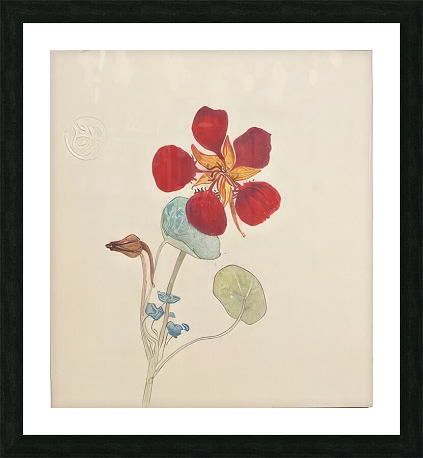 Hilma af Klint 14 Picture Frame print