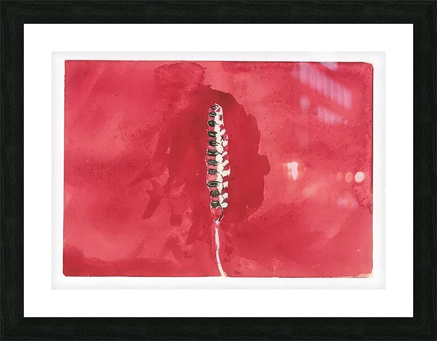 New Upload   Hilma af Klint 24 Picture Frame print