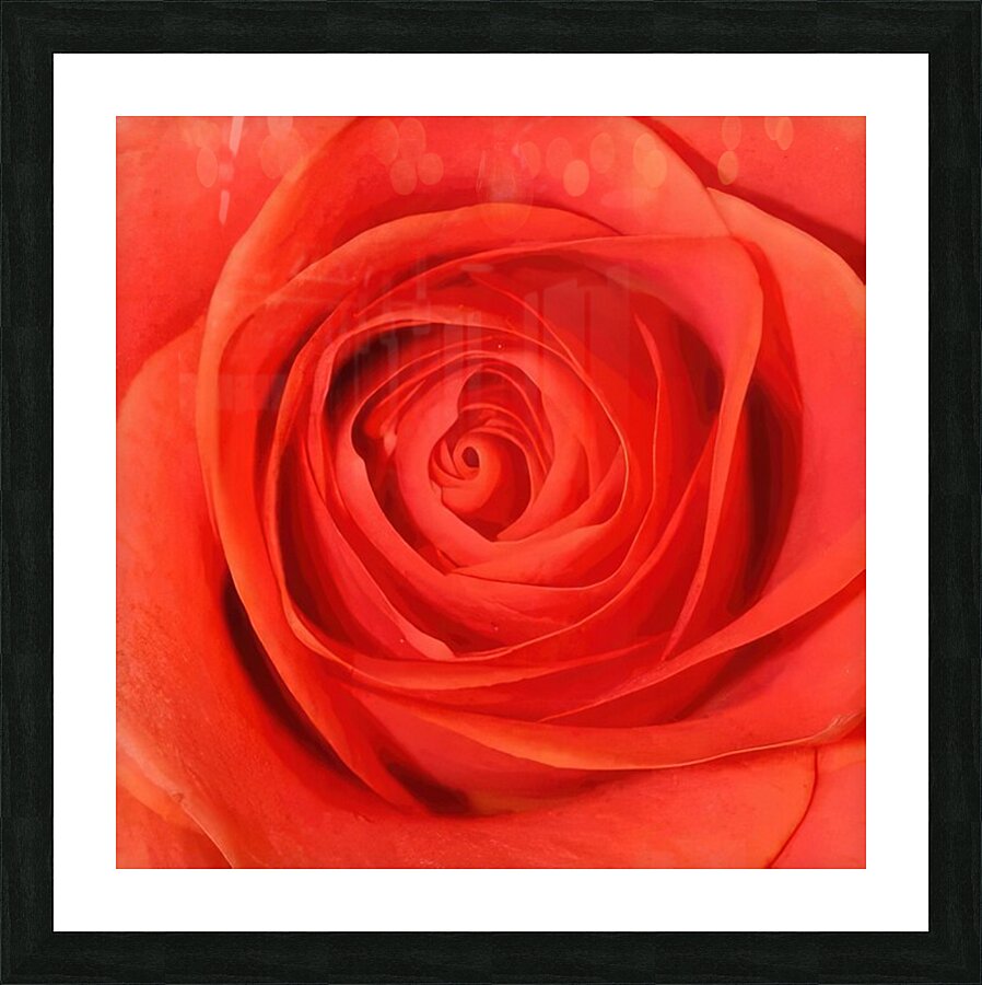 Georgia OKeeffe 10 Picture Frame print