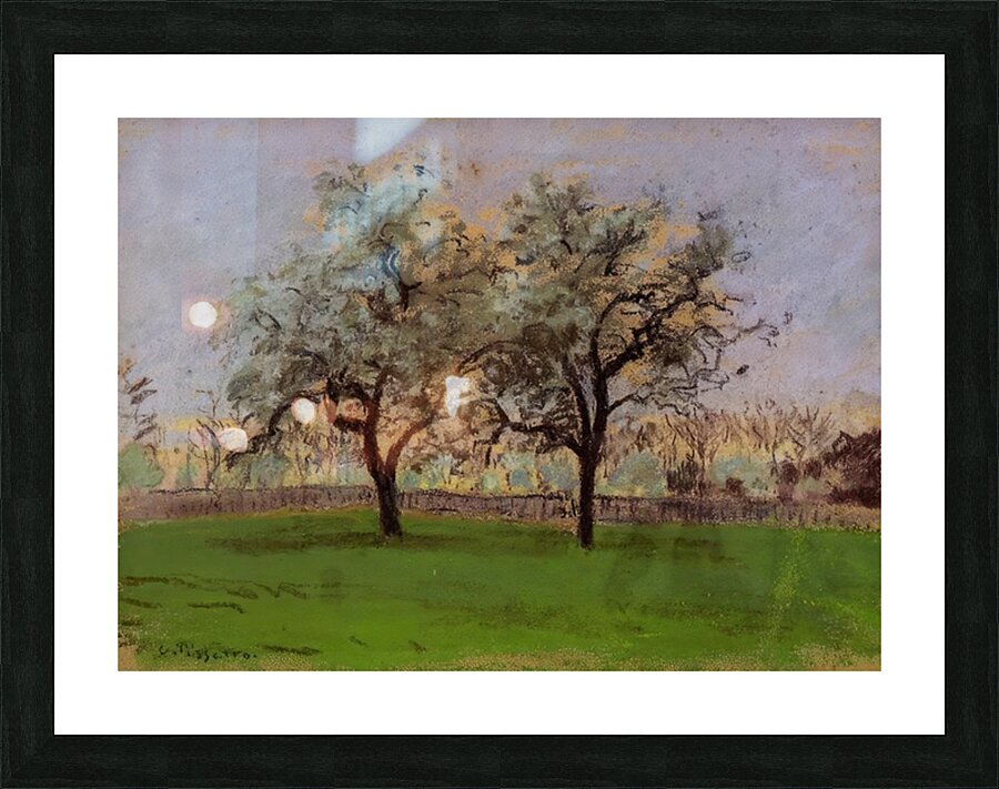 Apples Trees at Pontoise 1872 Camille Pissarr Picture Frame print
