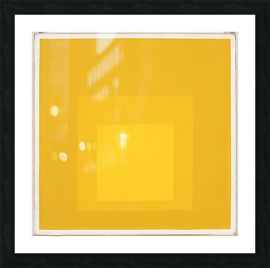 Josef Albers    3 Picture Frame print