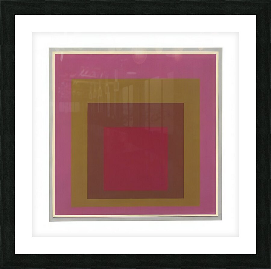 Josef Albers    14 Picture Frame print