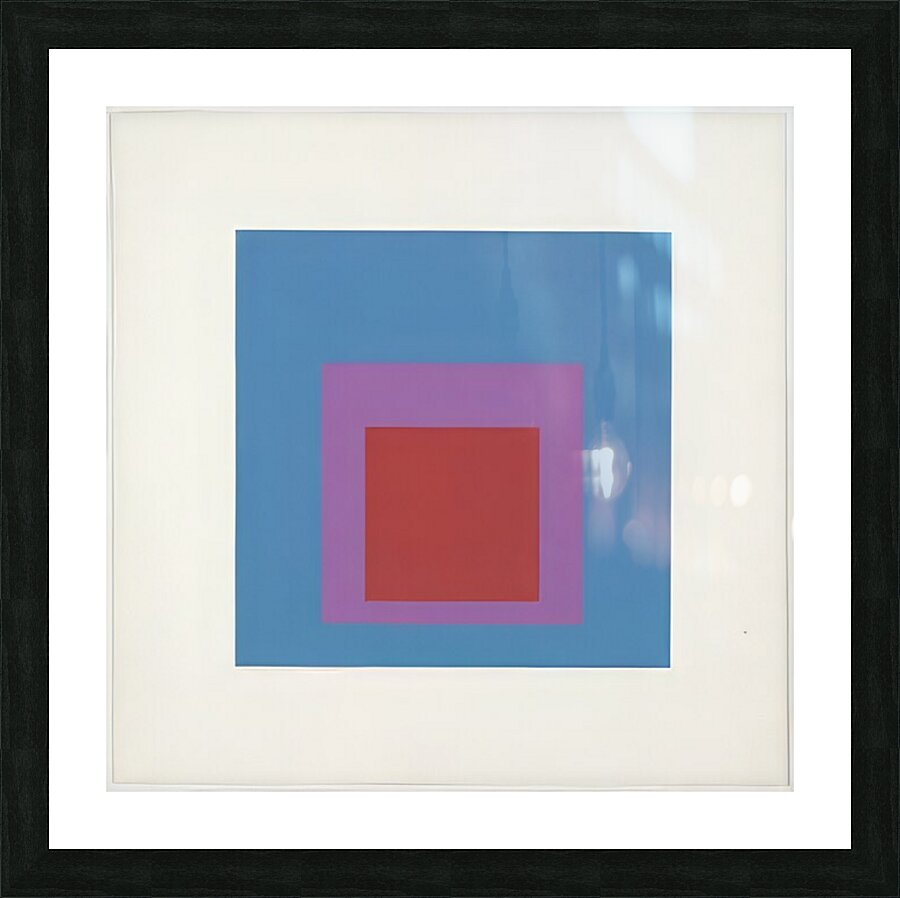 Josef Albers    18 Picture Frame print
