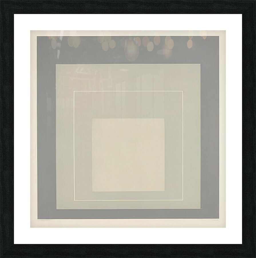 Josef Albers    21 Picture Frame print