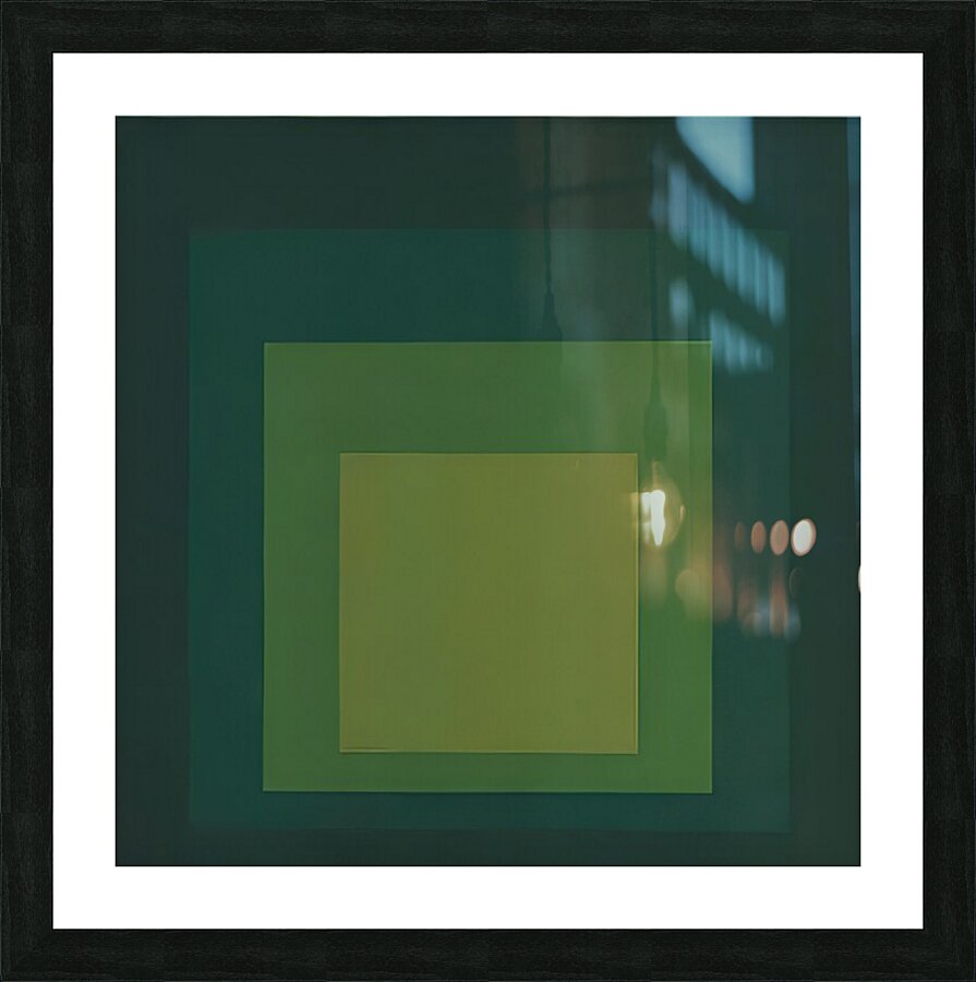 Josef Albers    29 Picture Frame print