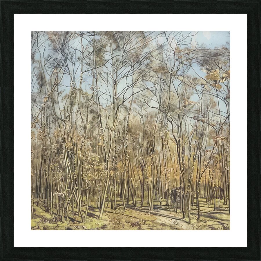 Art by Ferdinand Hodler  50 Picture Frame print