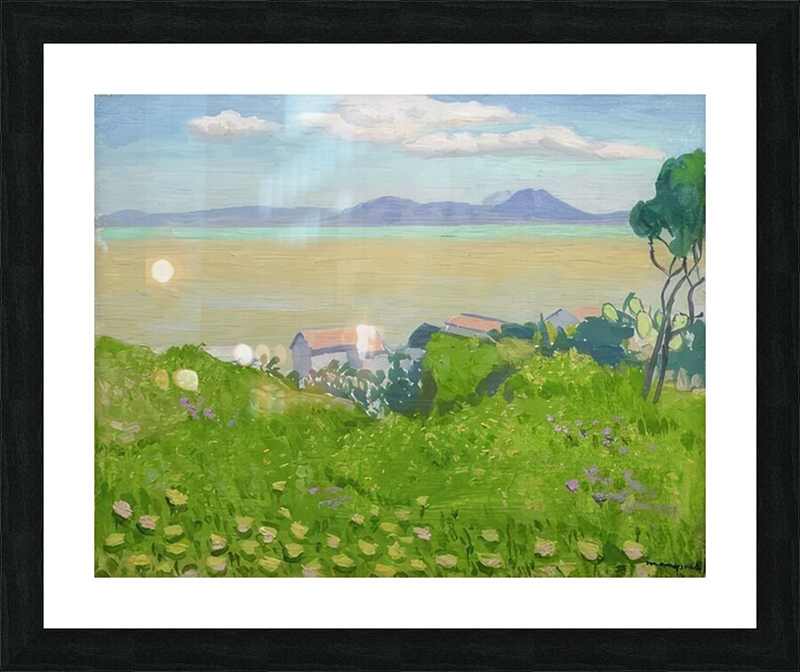 Albert Marquet  21 Picture Frame print