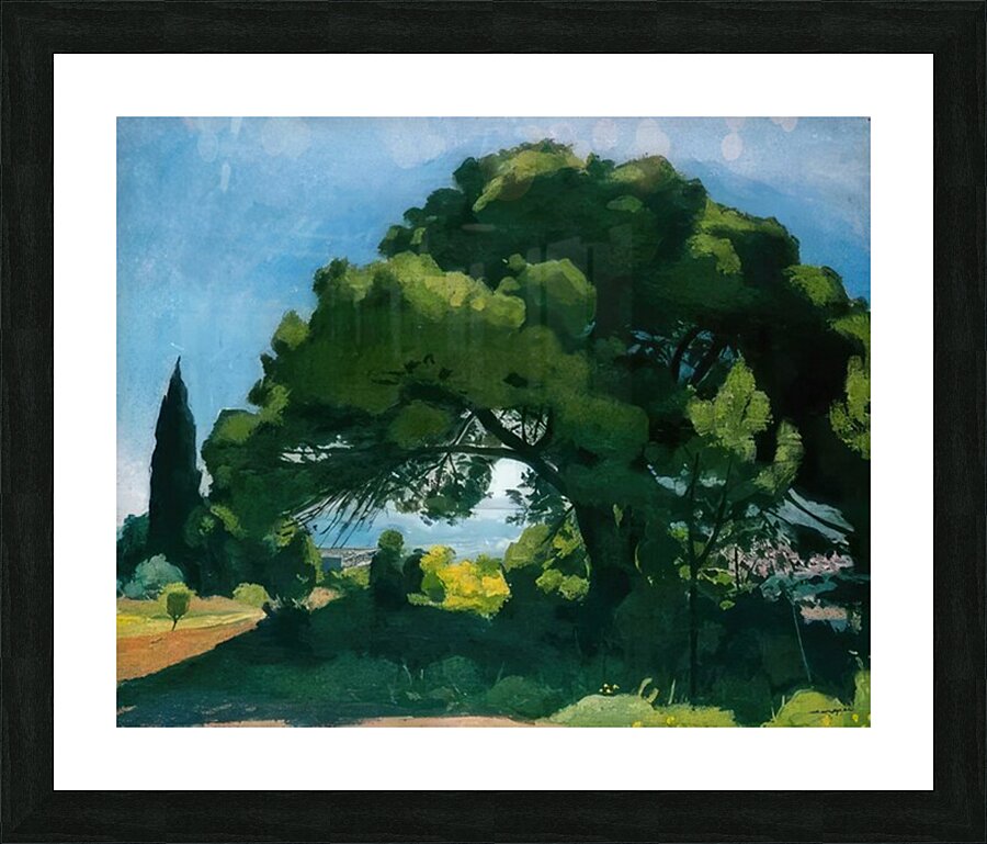 Albert Marquet  24 Picture Frame print
