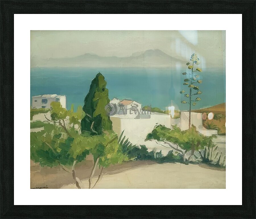 Albert Marquet  20 Picture Frame print