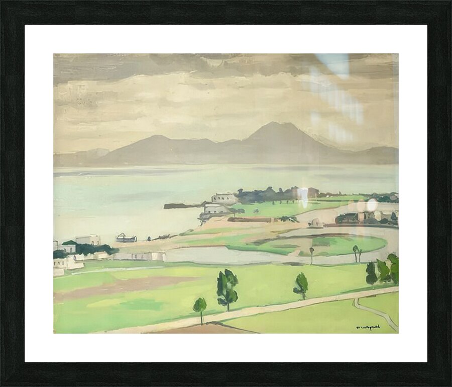 Albert Marquet  24 Picture Frame print