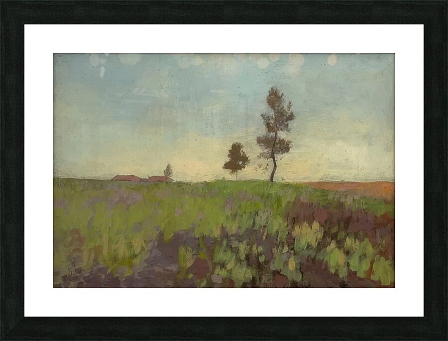 Odilon Redon 14 Picture Frame print