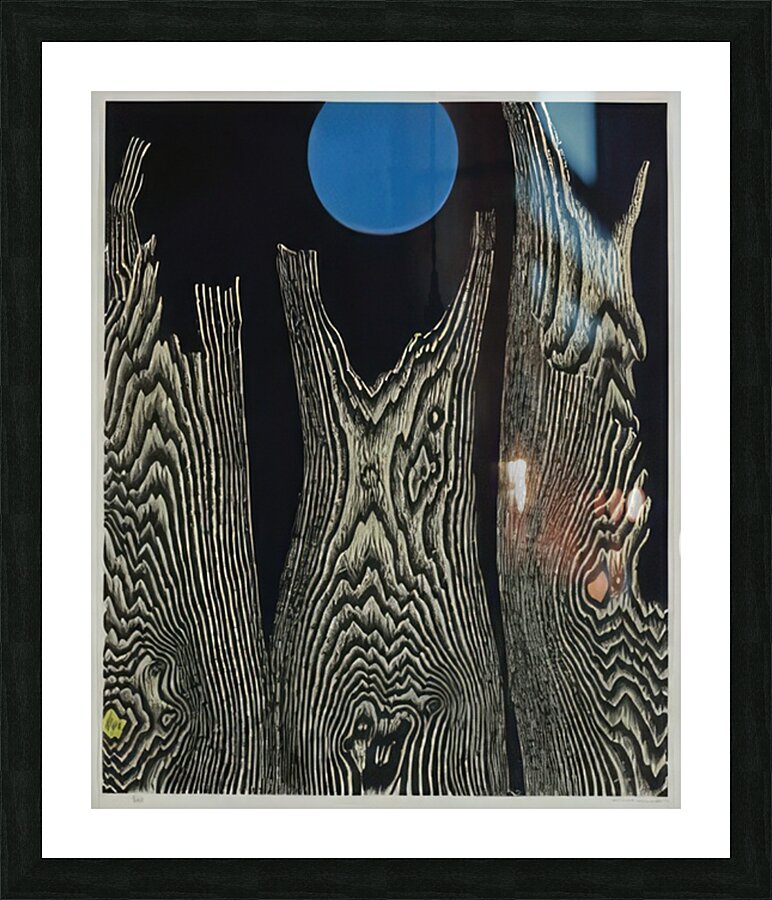 Max Ernst 41 Picture Frame print