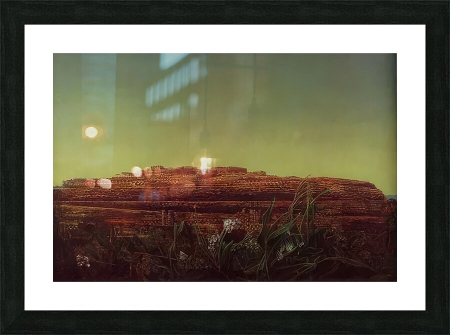 Max Ernst 44 Picture Frame print