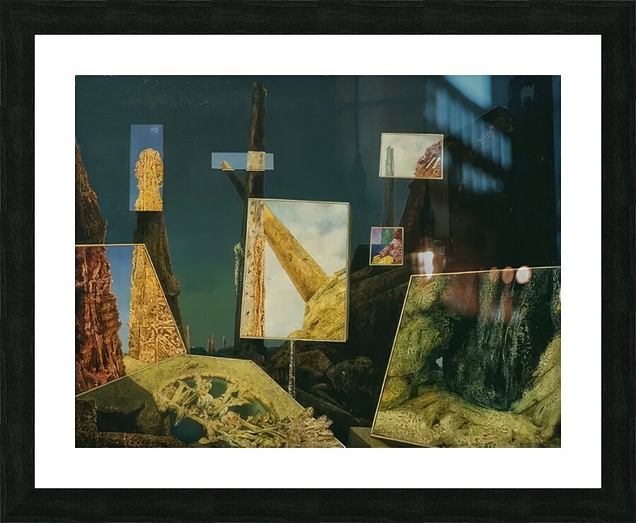 Max Ernst 48 Picture Frame print